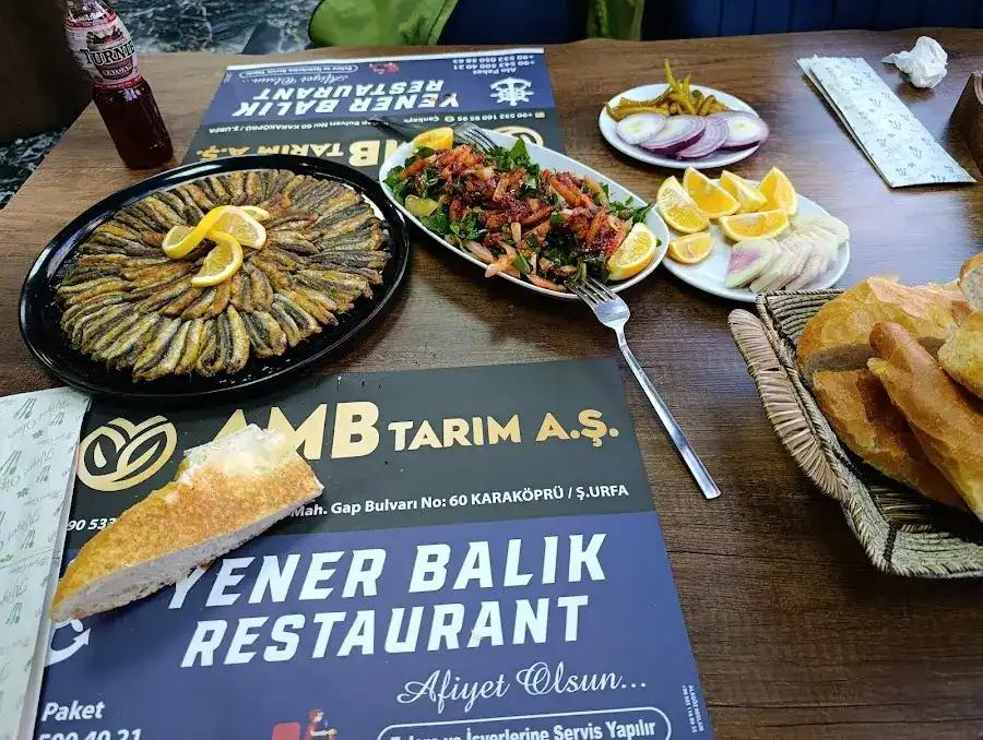 Yener Balıkçılık fotoğraf 3