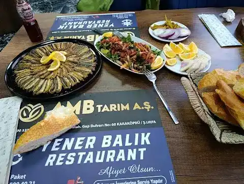 Yener Balıkçılık fotoğraf 3