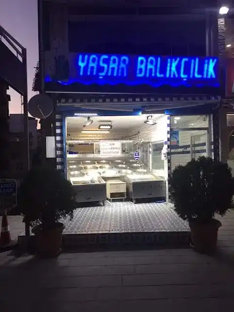 Yaşar Balıkçılık