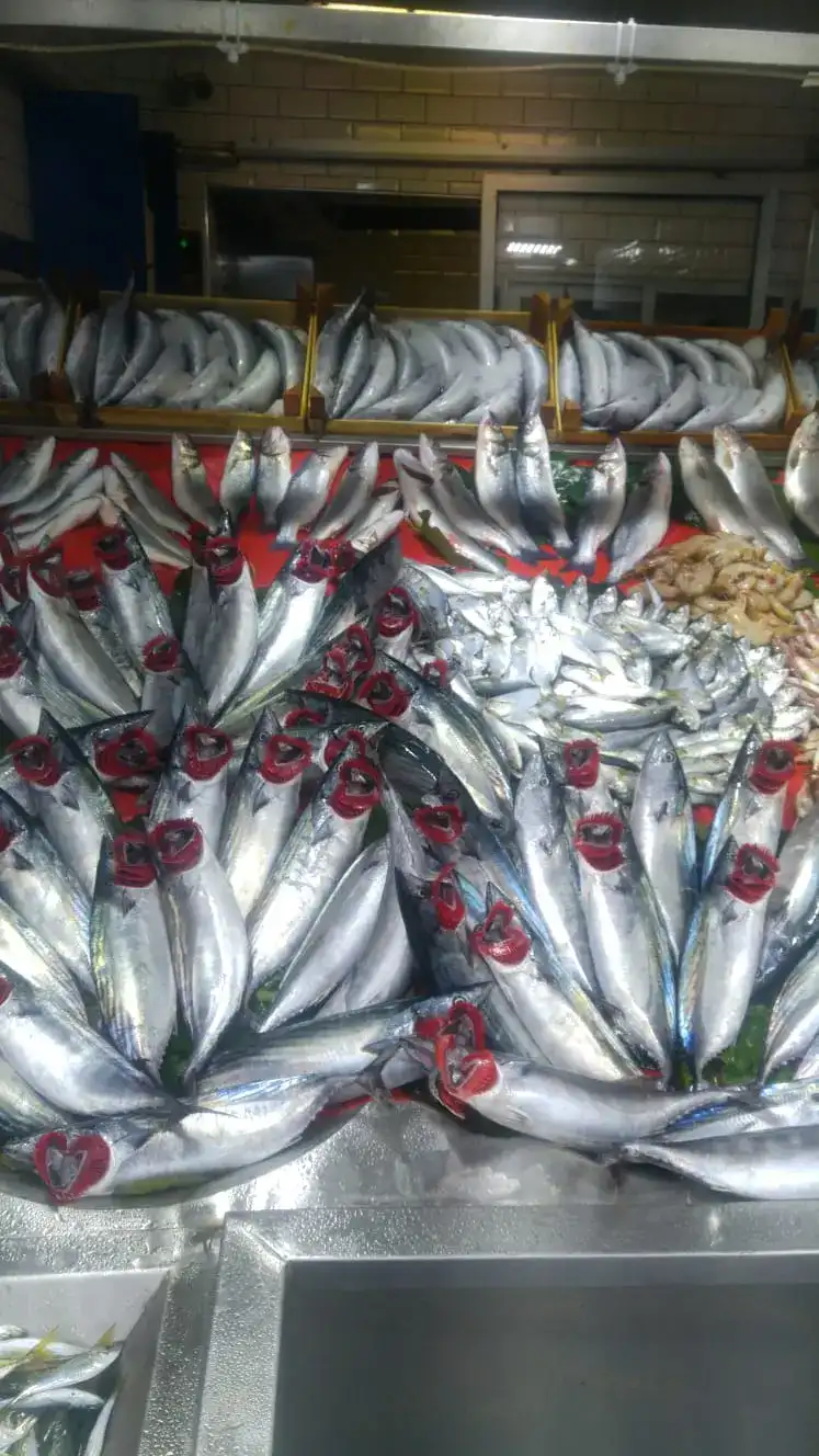 Yaşar Balıkçılık fotoğraf 2
