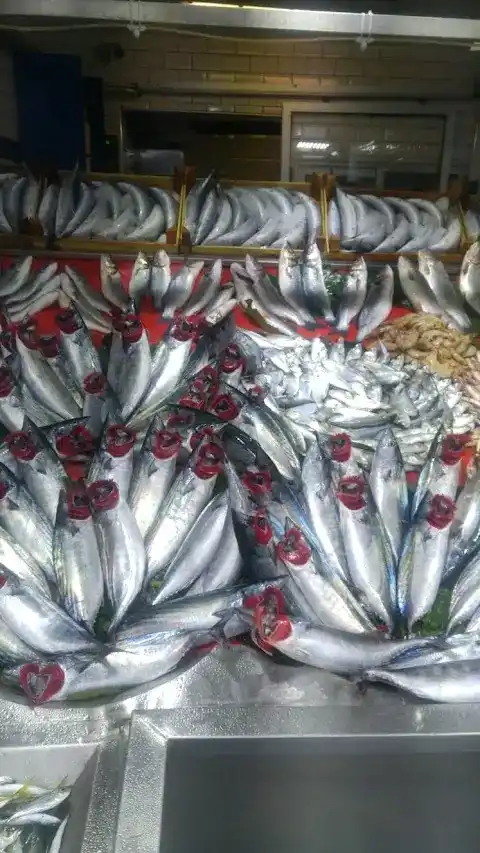 Yaşar Balıkçılık fotoğraf 2