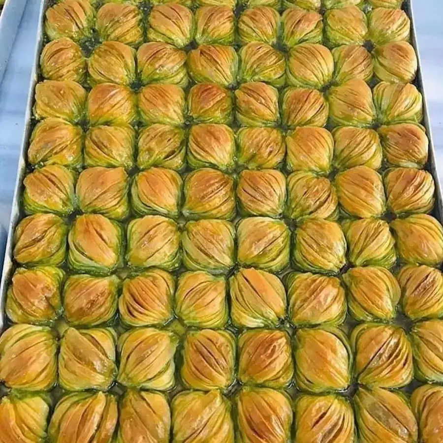 Anteplioğlu Asaftat Ergene Ulaş fotoğraf 3