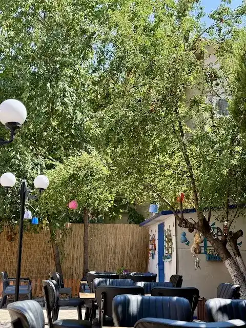 Gizli Bahçe fotoğraf 2
