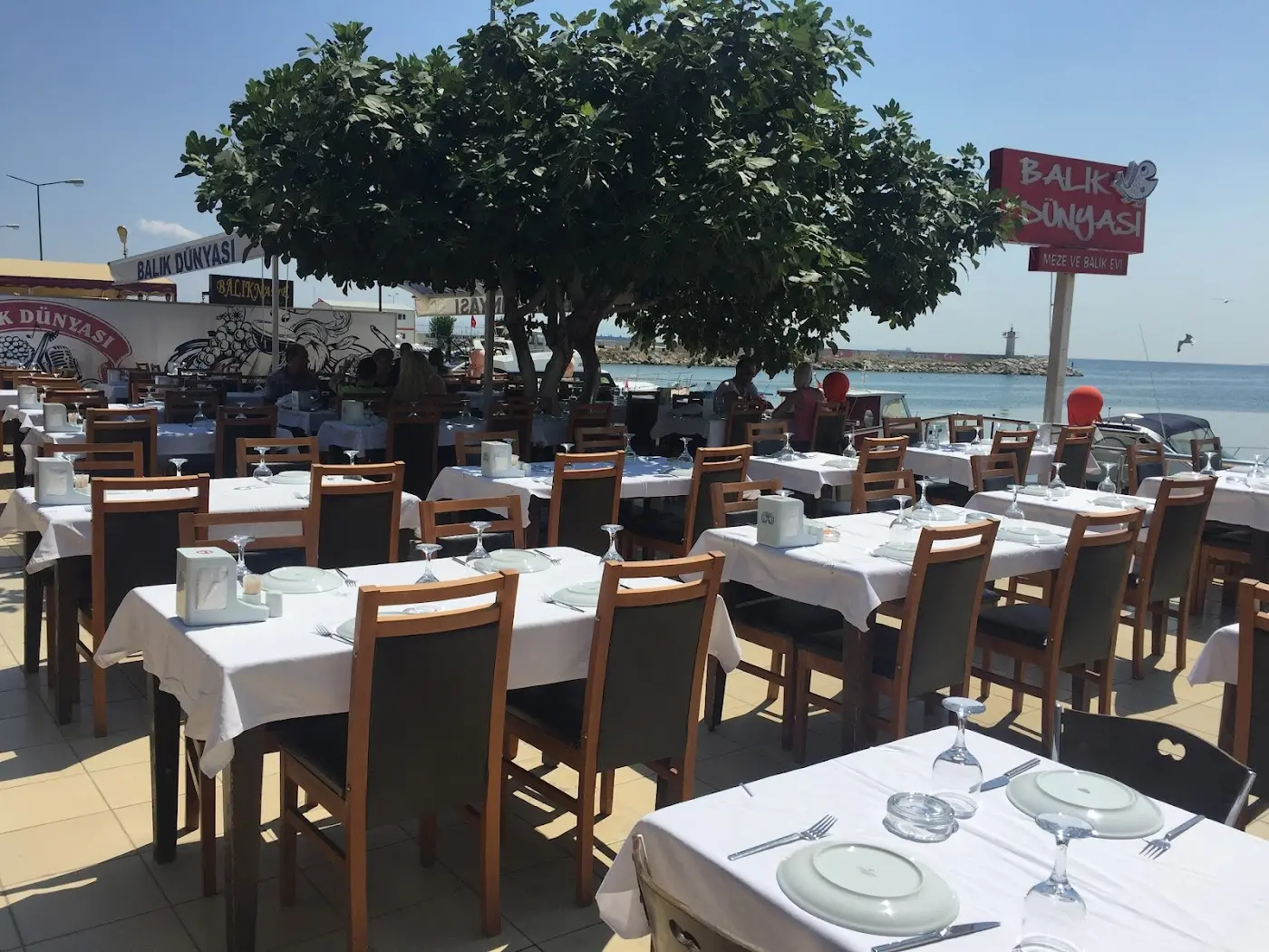 Şarköy Balık Dünyası