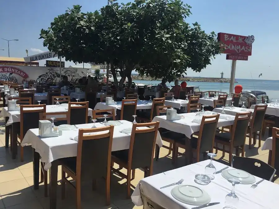 Şarköy Balık Dünyası