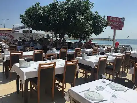 Şarköy Balık Dünyası