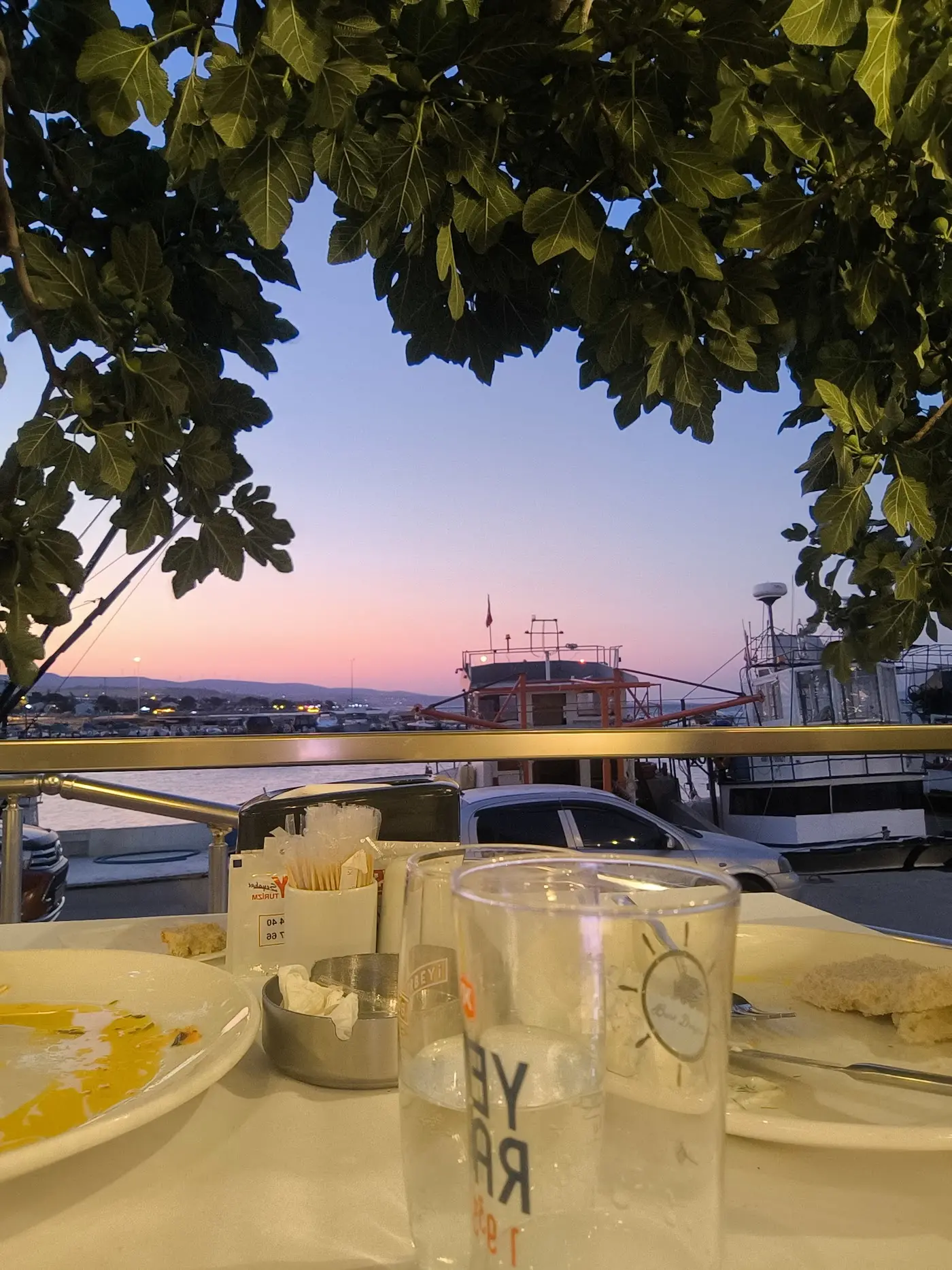 Şarköy Balık Dünyası fotoğraf 3