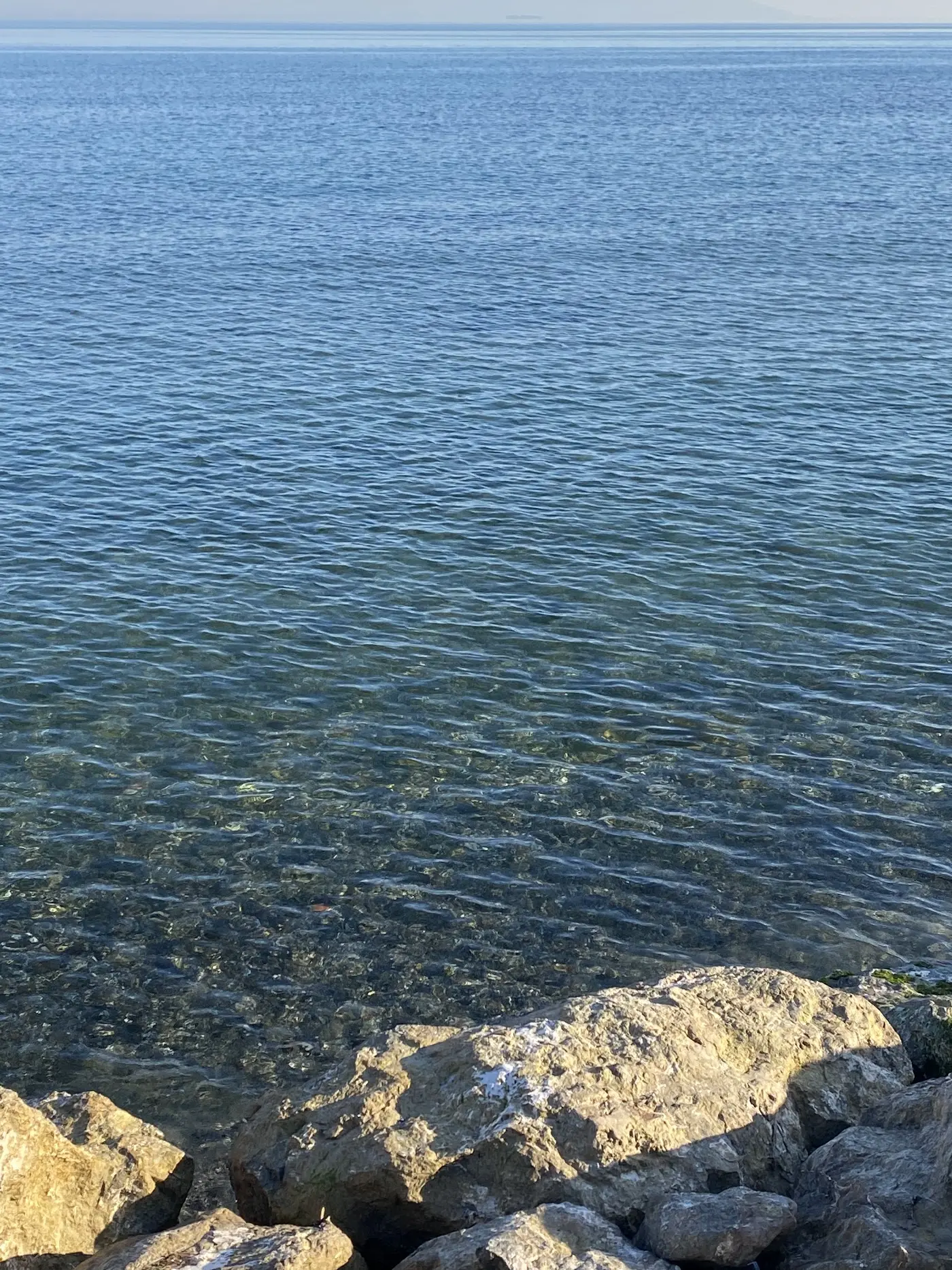 NO PROBLEM PANSİYON fotoğraf 3