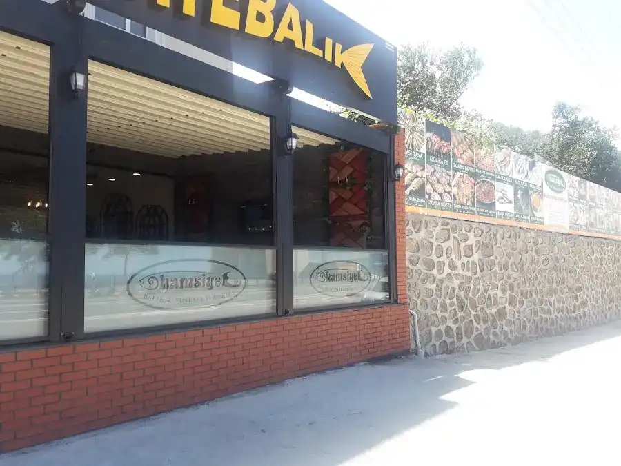Hamsiye balık