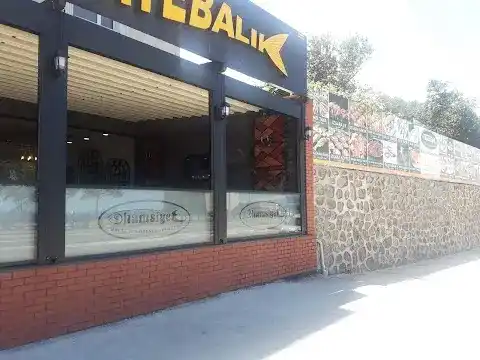 Hamsiye balık