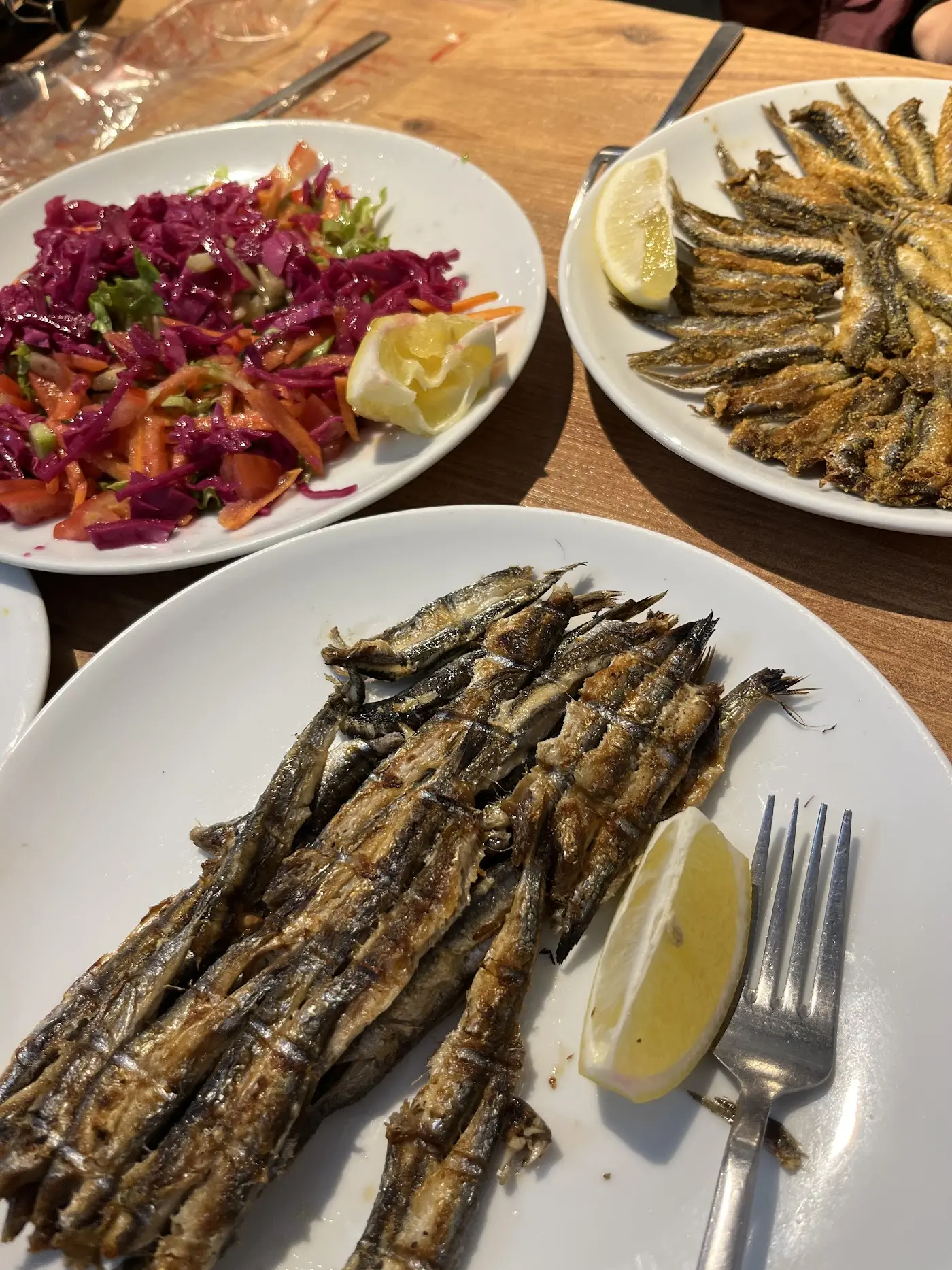 Hamsiye balık fotoğraf 3