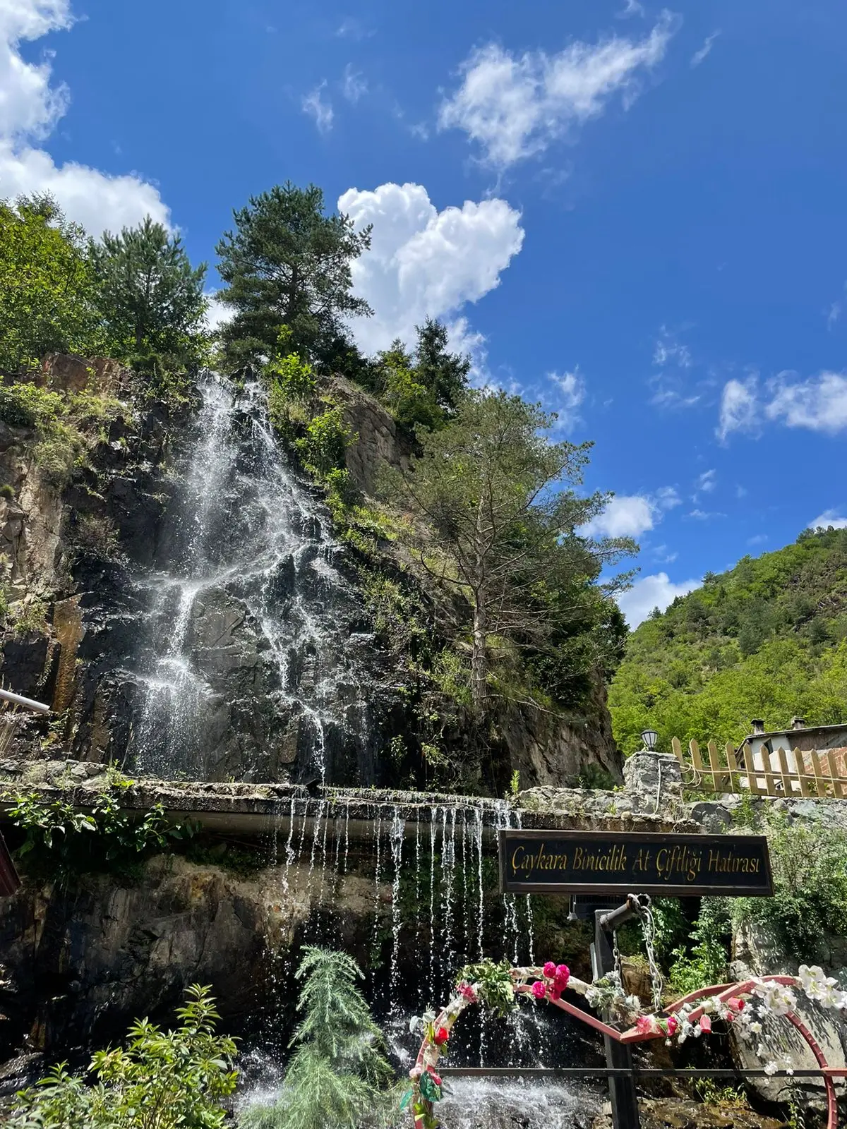 Çaykara At Çiftliği