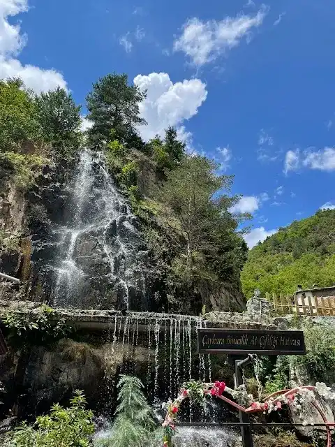 Çaykara At Çiftliği