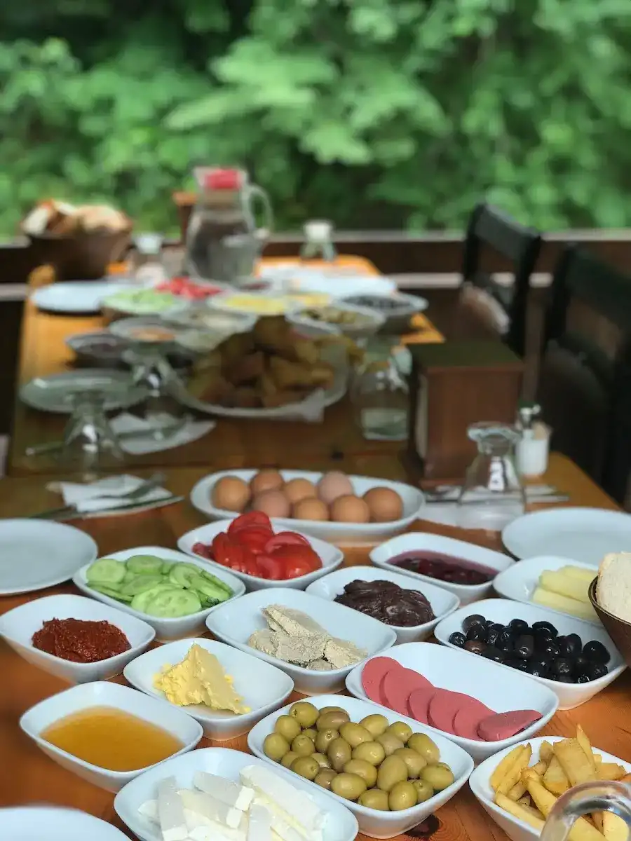 Işıklı Kale Alabalık fotoğraf 2