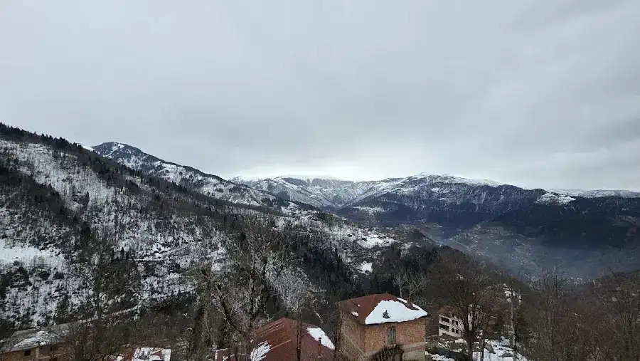 Kurumahmutoğlu Yeşilalan Alabalık Çiftliği & Restorant fotoğraf 3