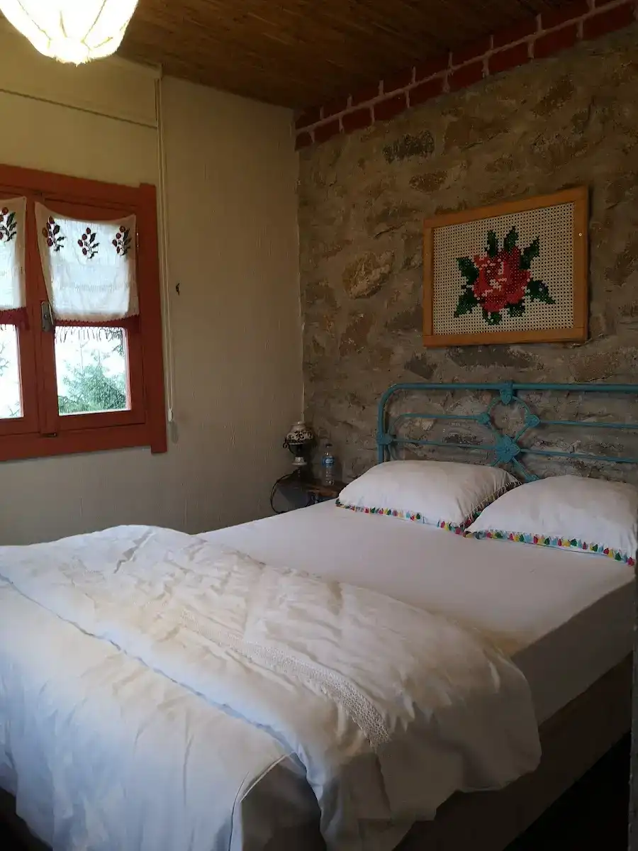 Kayaüstü Dağ Evi fotoğraf 2