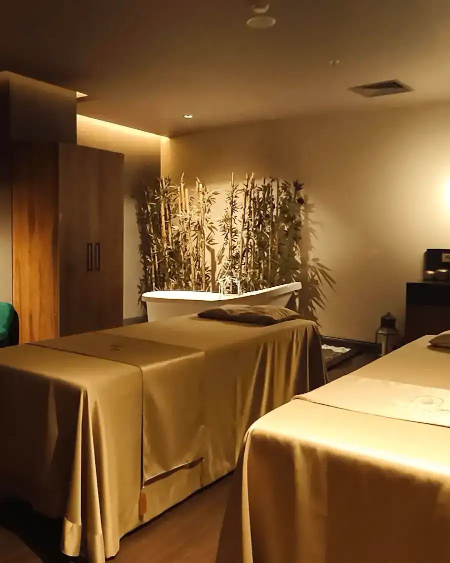 GreenSpa Maçka Kempinski Residence
