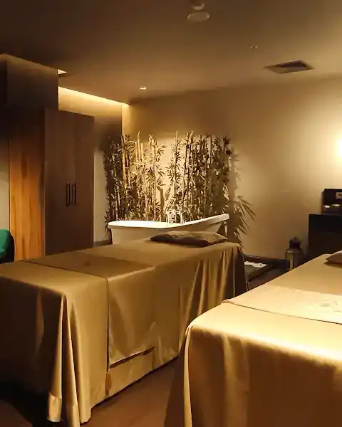 GreenSpa Maçka Kempinski Residence
