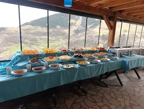 NİYAZİ USTA