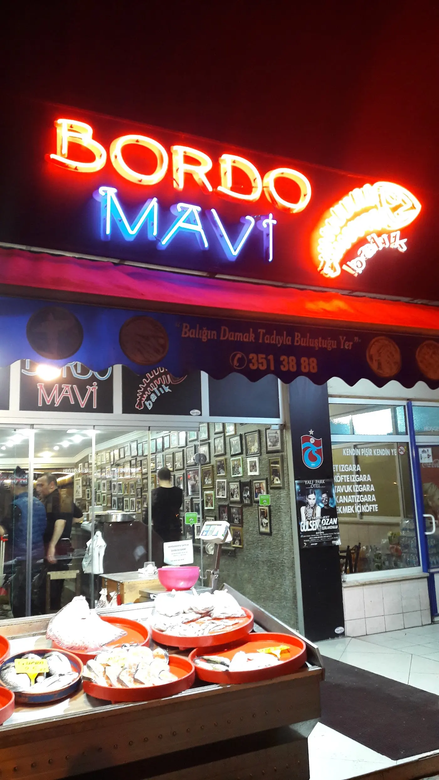 Bordo Mavi Balık-Erşan Yılmaz
