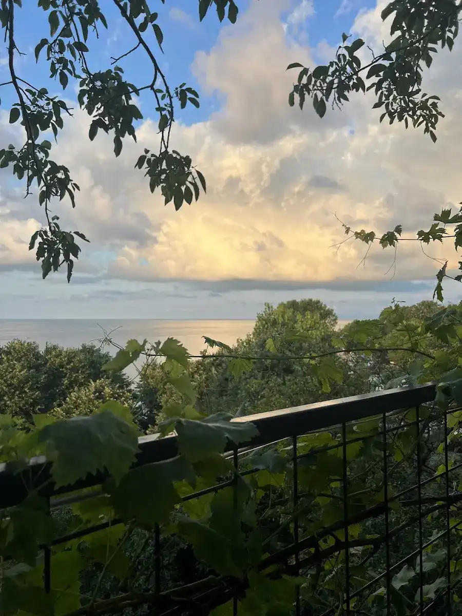 Ceviz Altı cafe fotoğraf 3