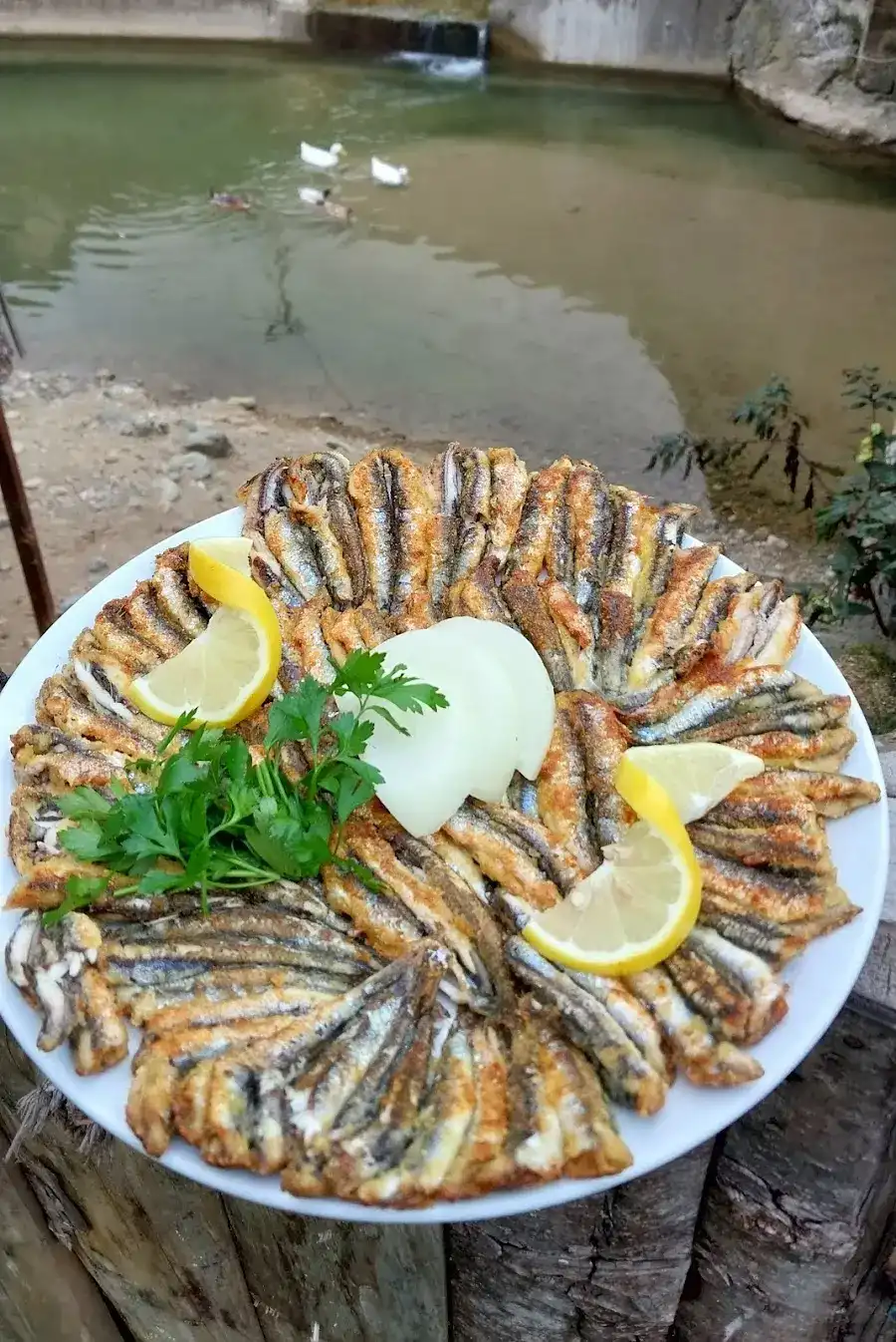 Kozdeğirmen Restaurant Yomra fotoğraf 2